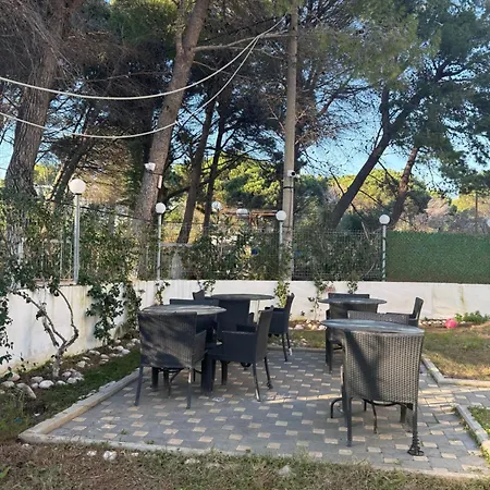 Blue Pines Hotel 3*