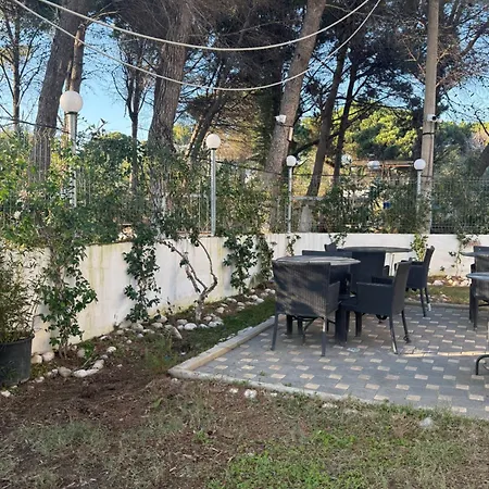 Blue Pines 3* Vlorë
